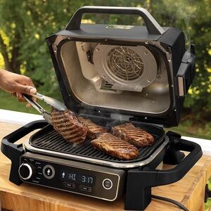 Ninja Woodfire Outdoor Grill and Smoker